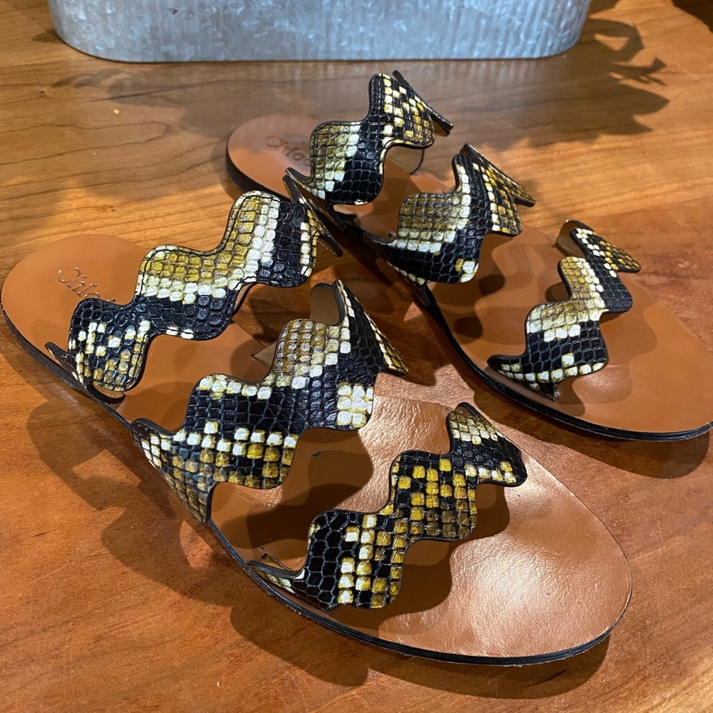 Chloe Lauren Scalloped Sandals